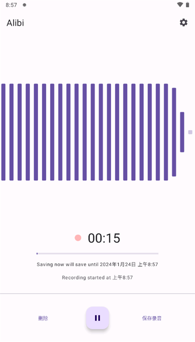 Alibi 截图：shot-recording