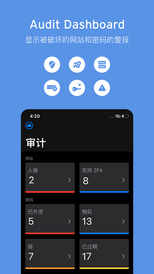 Enpass 截图：enpass-audit