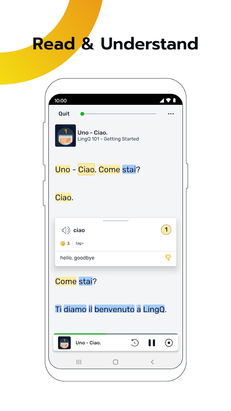 LingQ 截图：reader