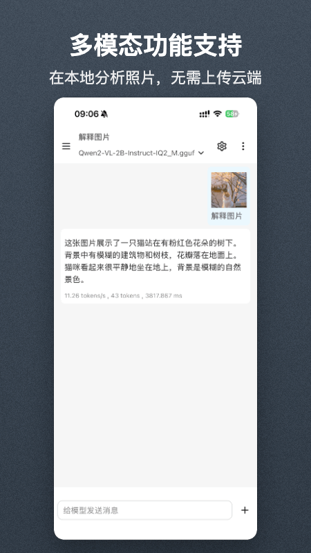 Local AI 截图：multimodal