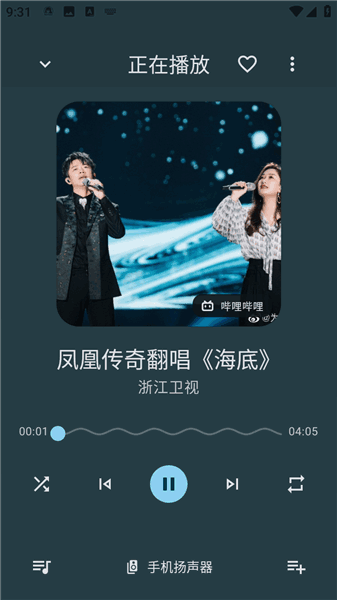 NeriPlayer 截图：04_337x600