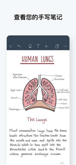 noteshelf 截图：shot-handwrite