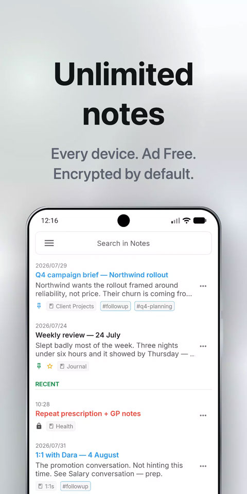 notesnook 截图：shot-notes