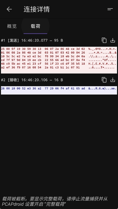 PCAPdroid 截图：shot-payload