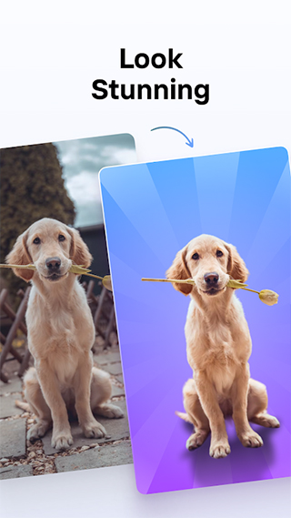 photoroom 截图：app-04