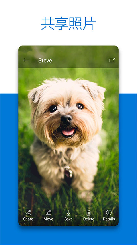 SkyDriveapp 截图：shot-share
