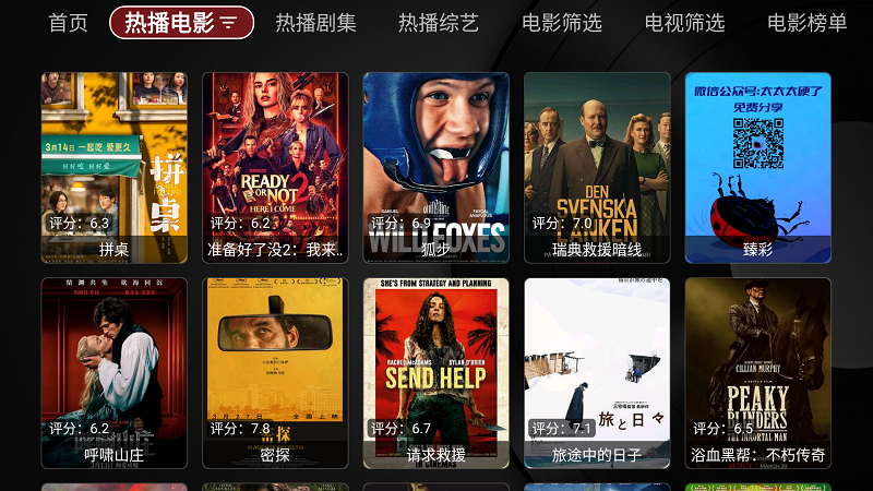 TVBox 截图：poster-movies